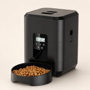 PawStars V31 | black | vue studio 1