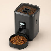 PawStars V31 | black | vue studio 3