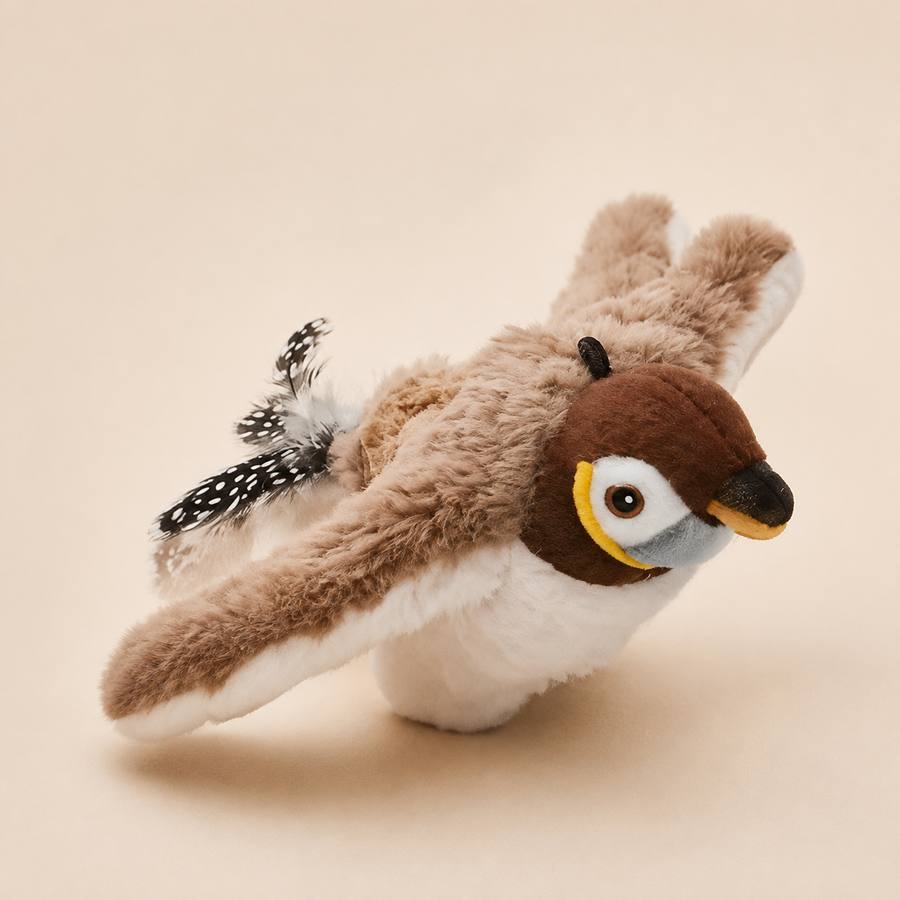 Oiseau interactif Plume — visuel studio PawStars