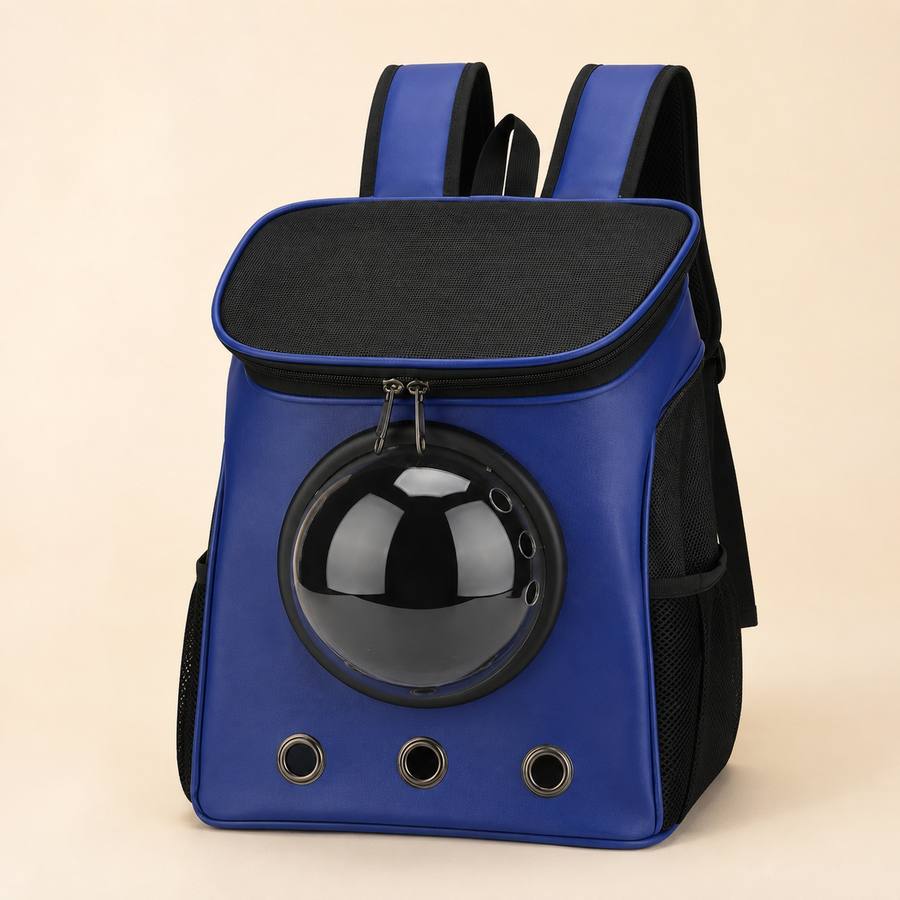 PawStars V31 | variant-6 | vue studio 1
