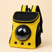 PawStars V31 | variant-7 | vue studio 1