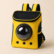 PawStars V31 | variant-7 | vue studio 3