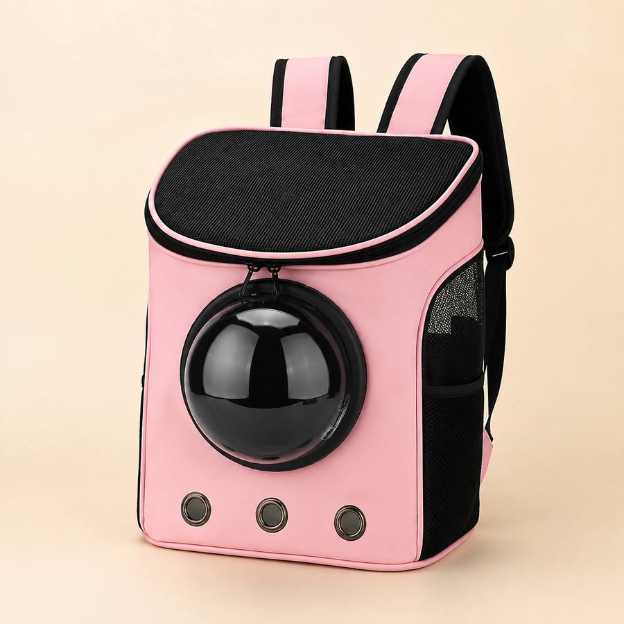 PawStars V31 | variant-8 | vue studio 1