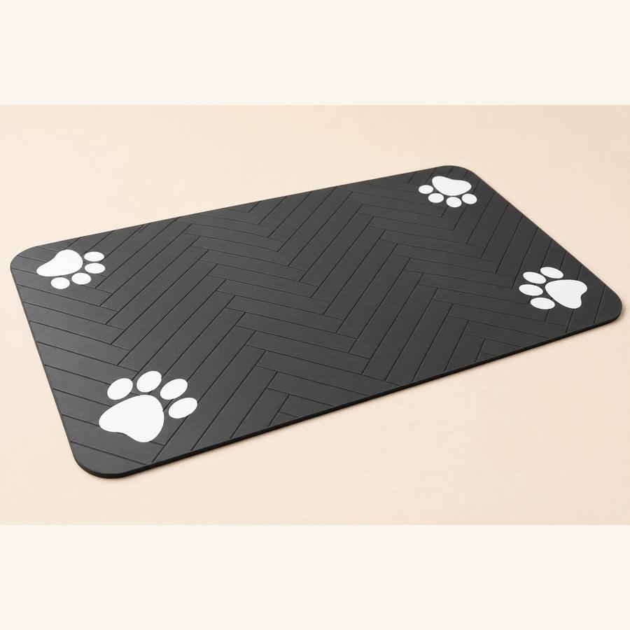 PawStars V31 | 40x60cm-black | vue studio 1