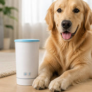PawStars V31 | white | vue studio 3