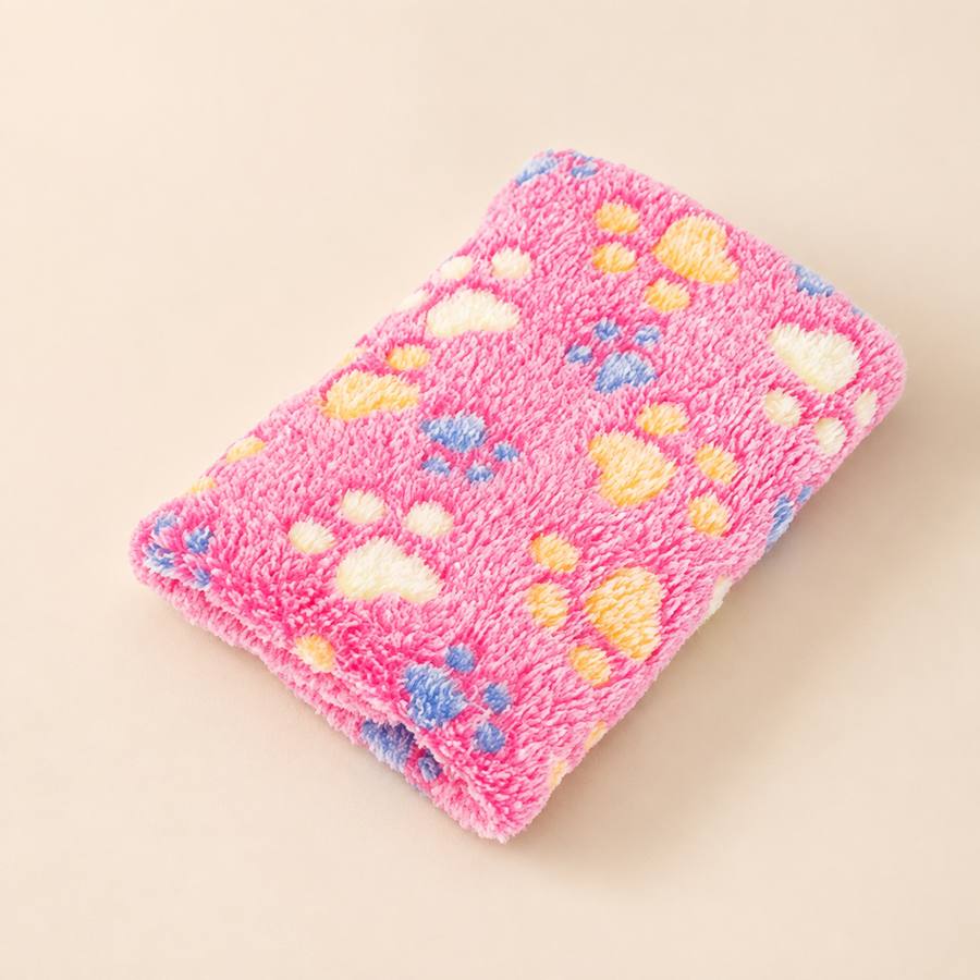 PawStars V31 | pink | vue studio 4