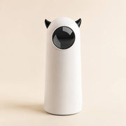 PawStars V31 | one-color | vue studio 2