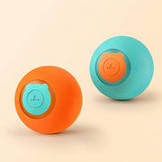 PawStars V31 | 2pcs-set | vue studio 1
