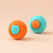 PawStars V31 | 2pcs-set | vue studio 2