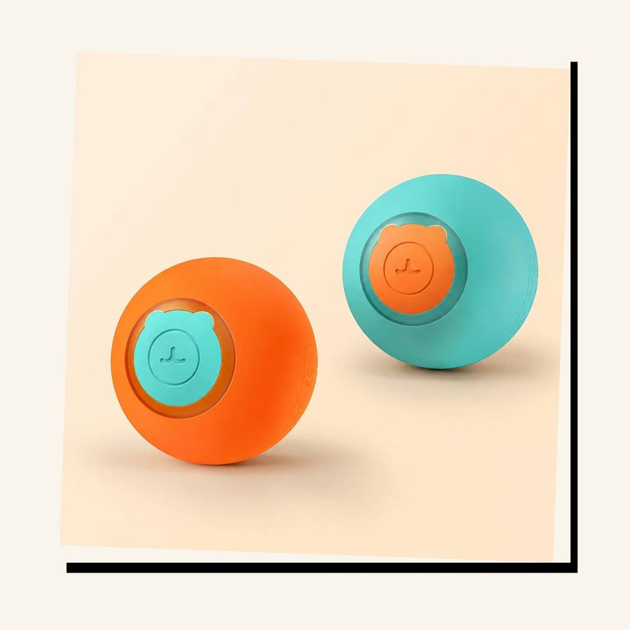 PawStars V31 | 2pcs-set | vue studio 3