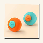 PawStars V31 | 2pcs-set | vue studio 3