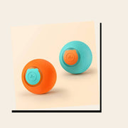 PawStars V31 | 2pcs-set | vue studio 4
