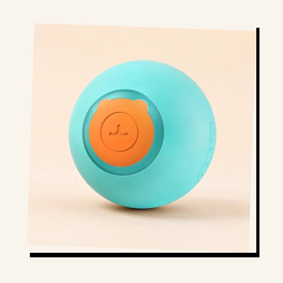 PawStars V31 | green-1pcs | vue studio 3