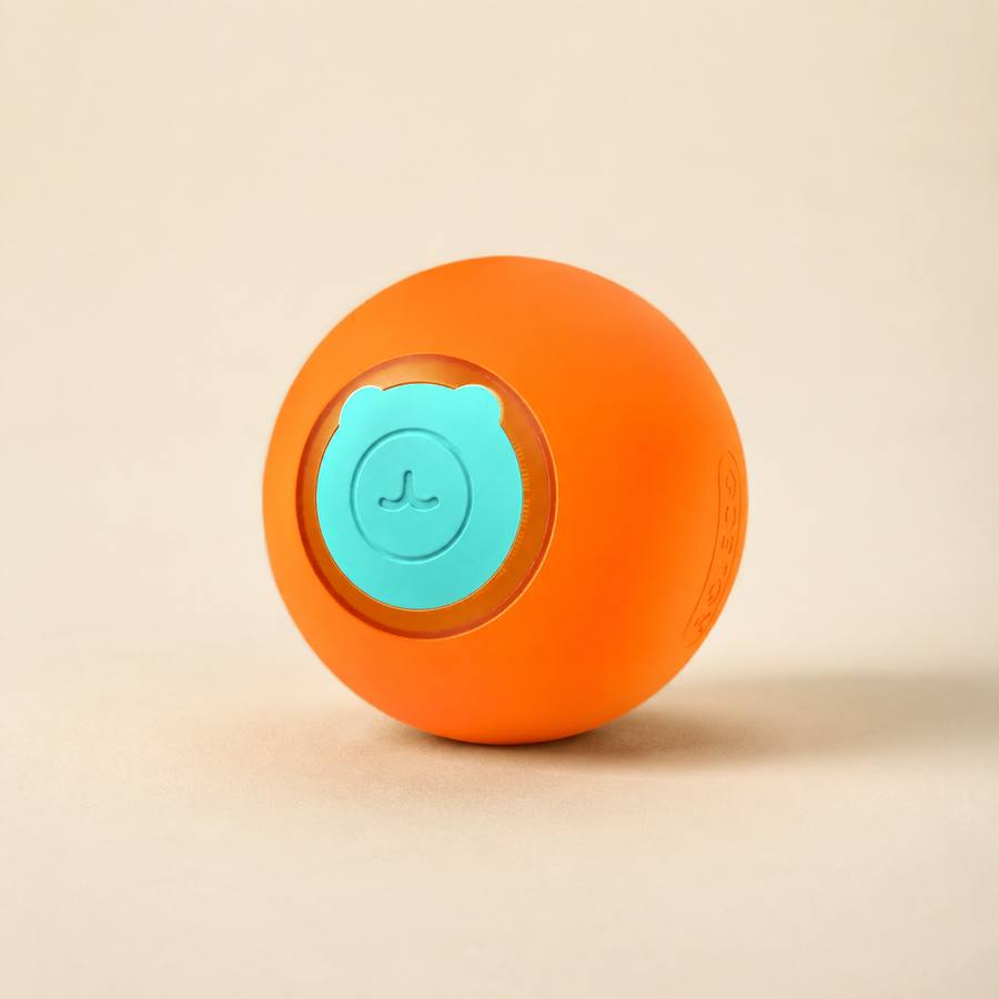 PawStars V31 | orange-1pcs | vue studio 1