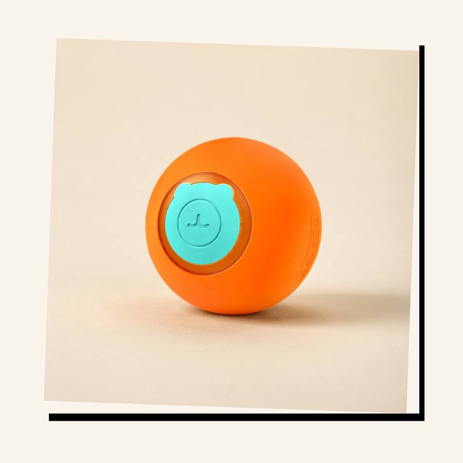 PawStars V31 | orange-1pcs | vue studio 3