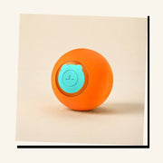 PawStars V31 | orange-1pcs | vue studio 3
