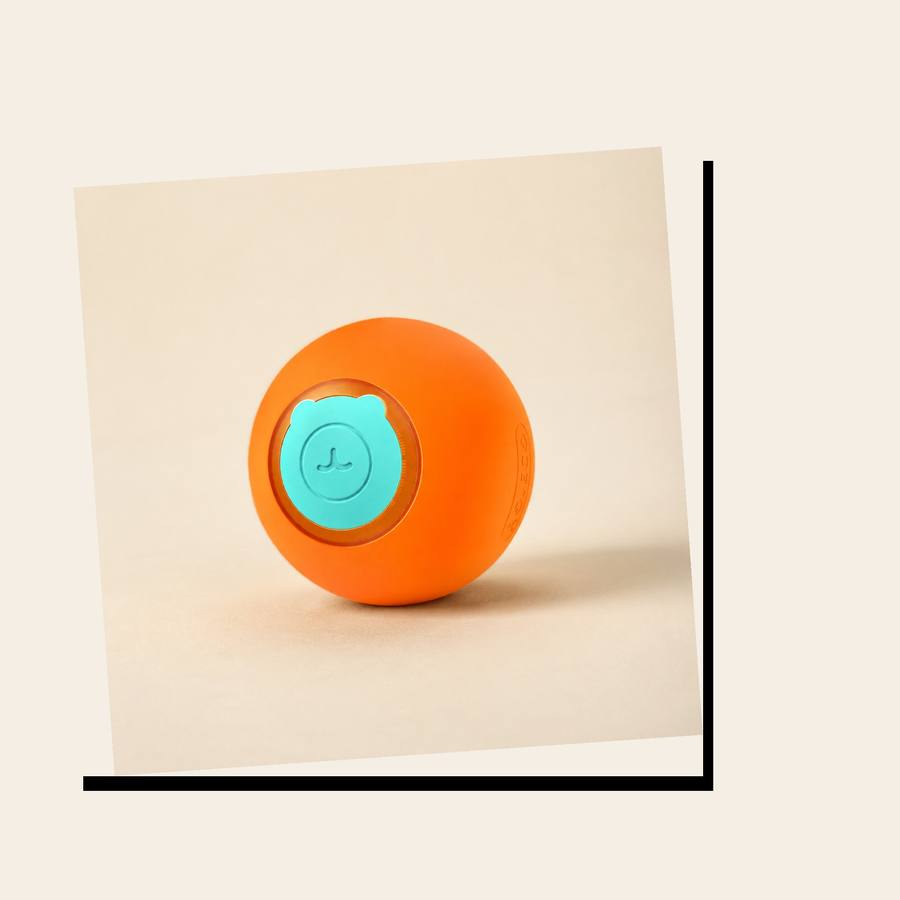 PawStars V31 | orange-1pcs | vue studio 4