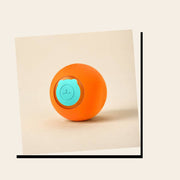 PawStars V31 | orange-1pcs | vue studio 4