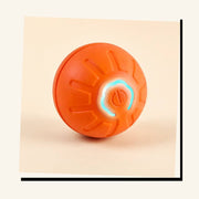 PawStars V31 | b-orange-no-rgb-180 | vue studio 2