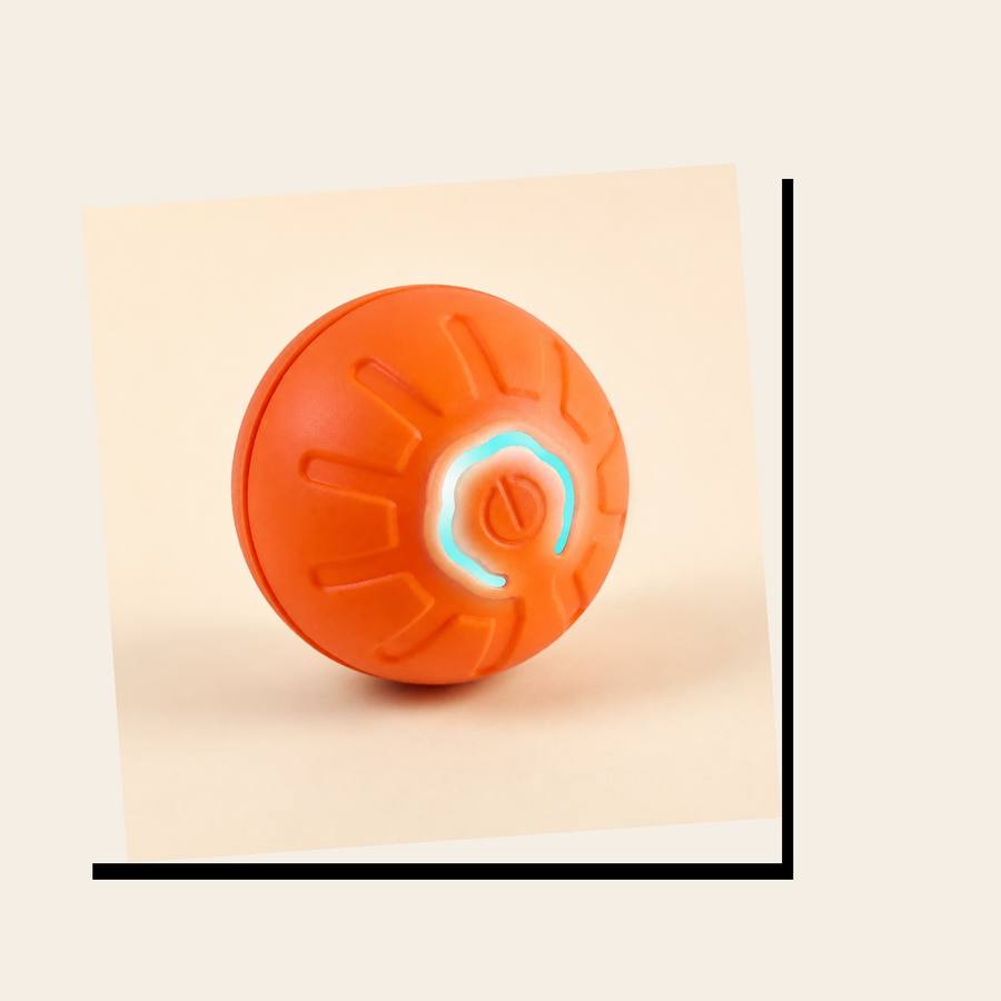 PawStars V31 | b-orange-no-rgb-180 | vue studio 3