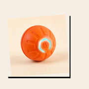 PawStars V31 | b-orange-no-rgb-180 | vue studio 3