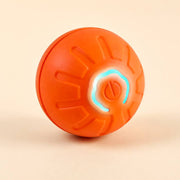 PawStars V31 | b-orange-no-rgb-180 | vue studio 4