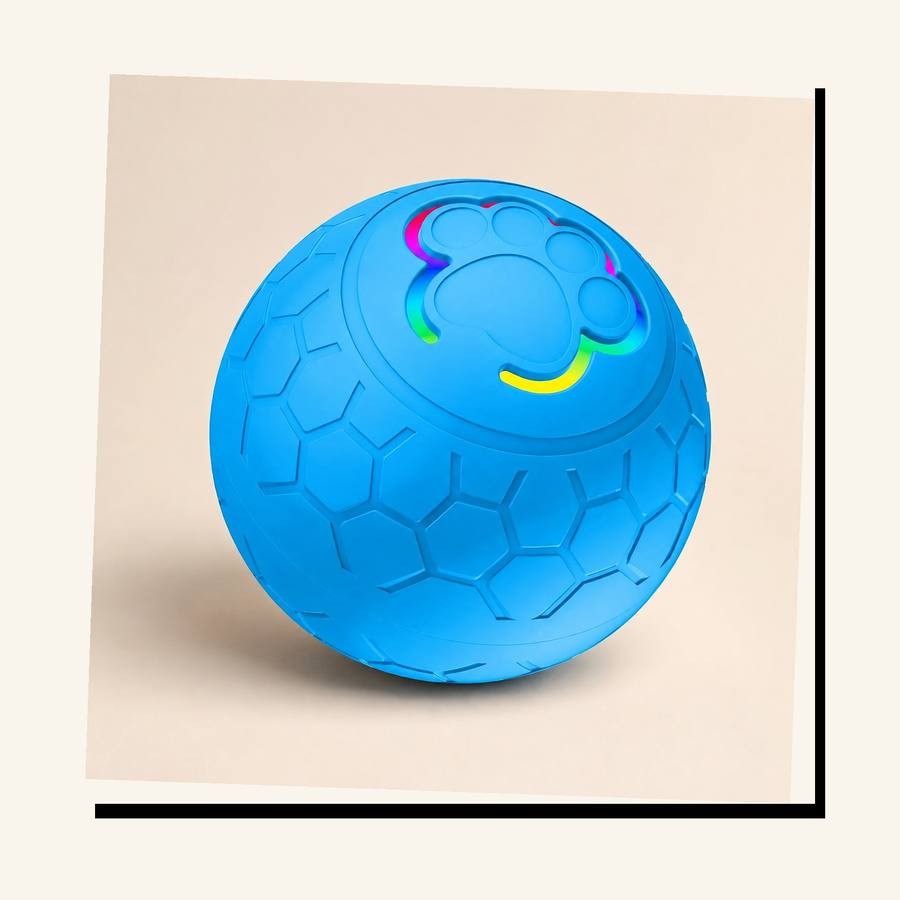 PawStars V31 | upgrade-blue-300mah | vue studio 4