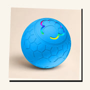 PawStars V31 | upgrade-blue-300mah | vue studio 4