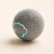 PawStars V31 | upgrade-grey-300mah | vue studio 2