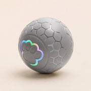 PawStars V31 | upgrade-grey-300mah | vue studio 3