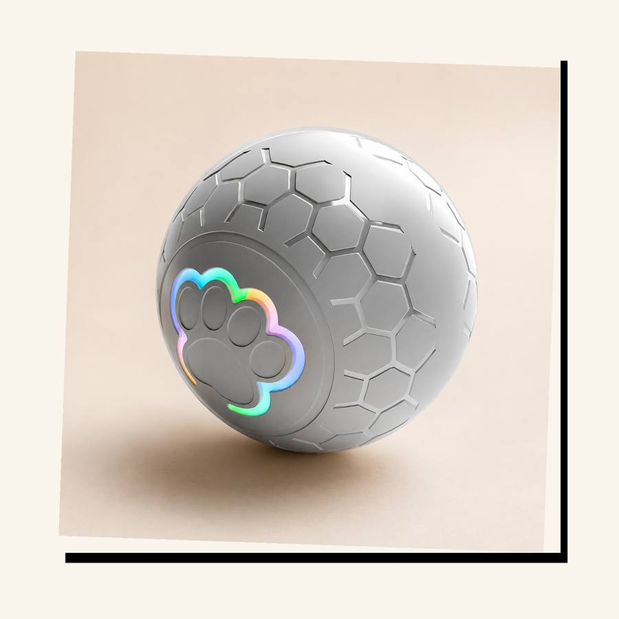 PawStars V31 | upgrade-grey-300mah | vue studio 4