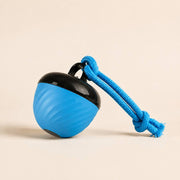 PawStars archive — duplicate corrigé | PawStars V31 | blue-200mah | vue studio 2