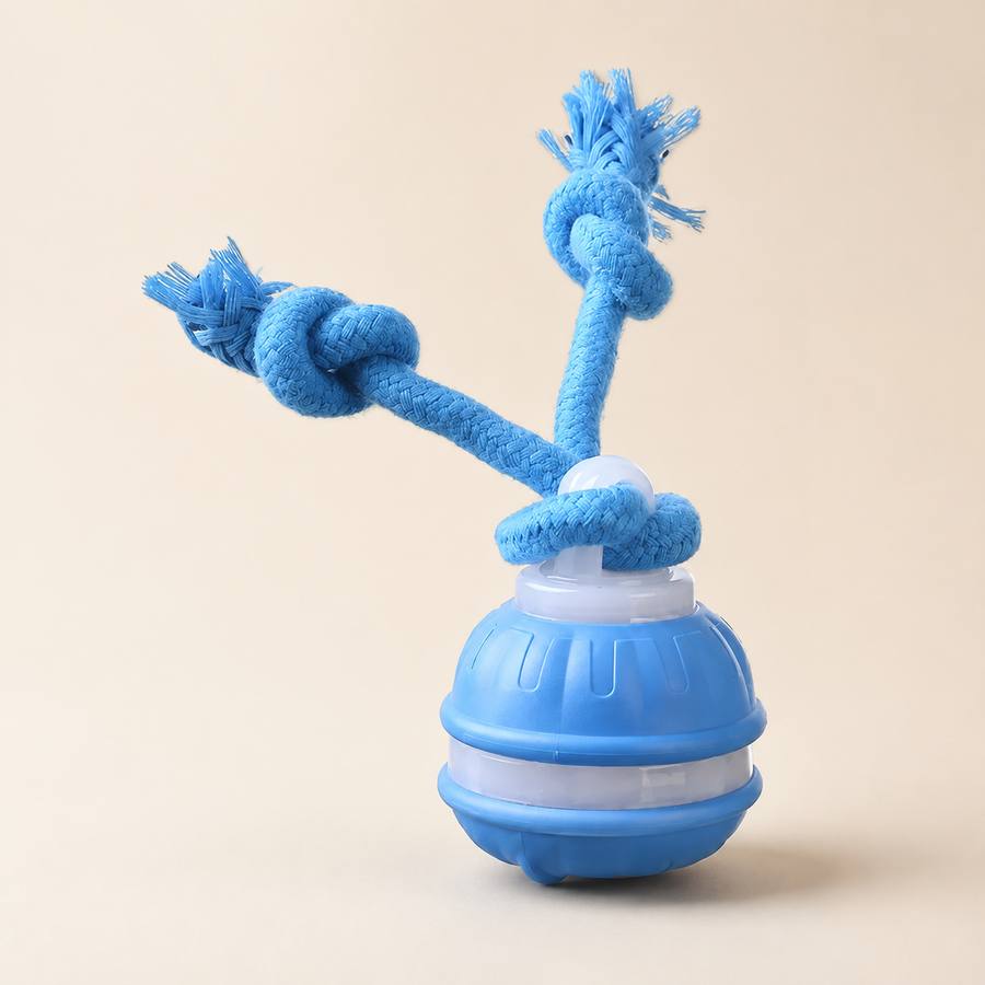 PawStars V31 | blue-small | vue studio 1