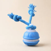 PawStars V31 | blue-small | vue studio 1