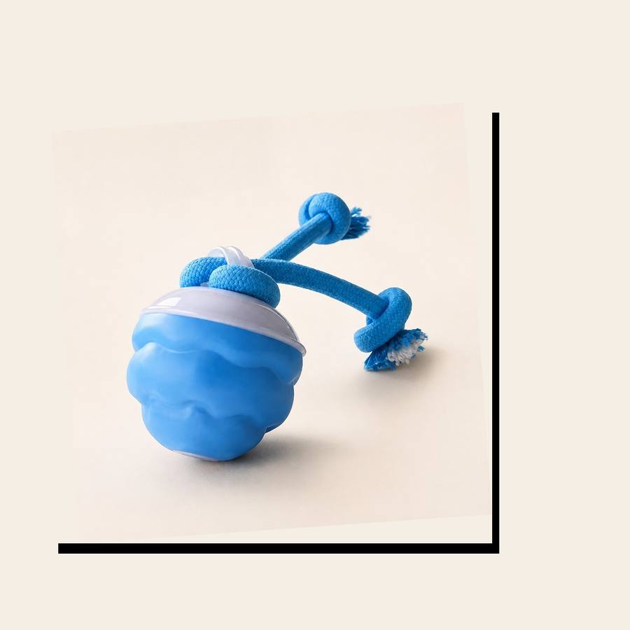 PawStars V31 | blue | vue studio 4