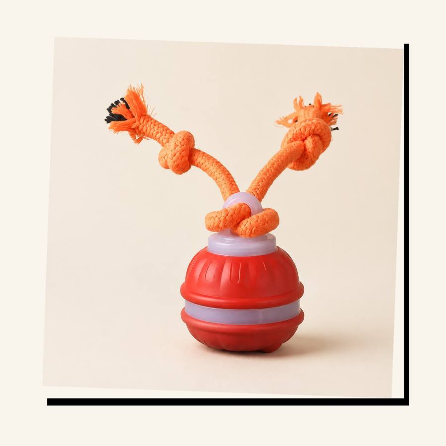 PawStars V31 | orange-small | vue studio 3