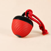 PawStars V31 | red-200mah | vue studio 2