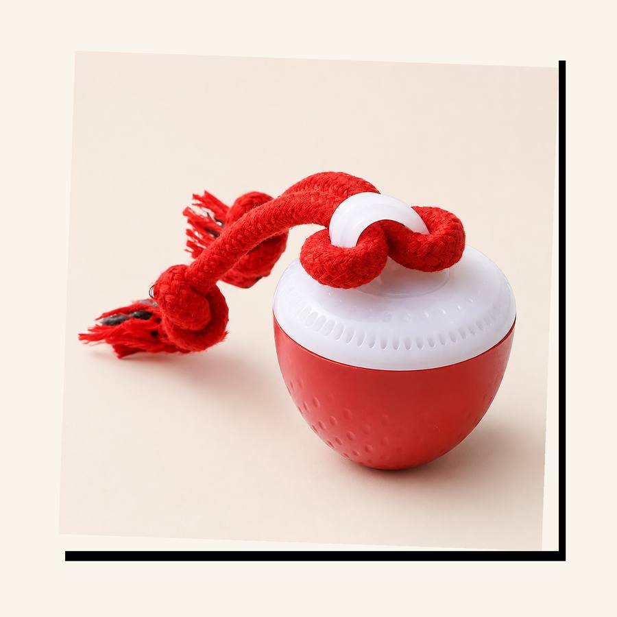 PawStars V31 | red-300mah | vue studio 3