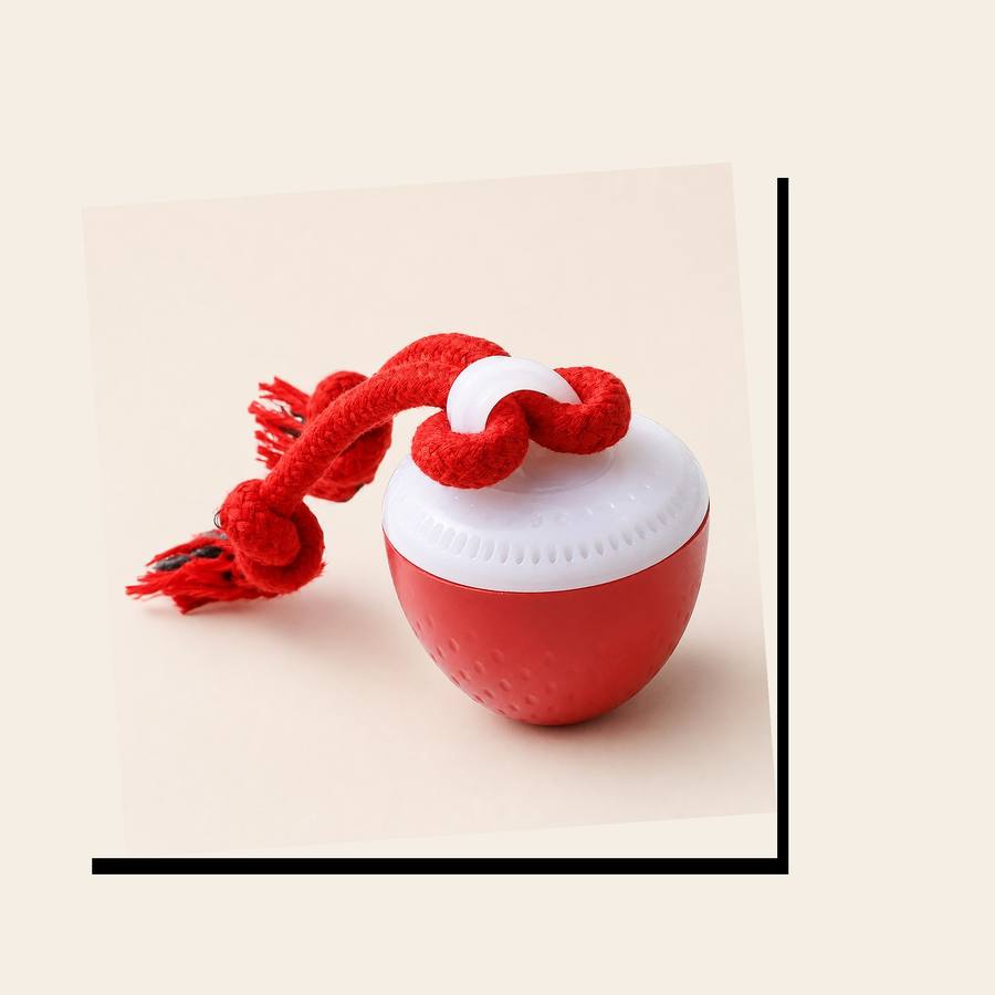 PawStars V31 | red-300mah | vue studio 4