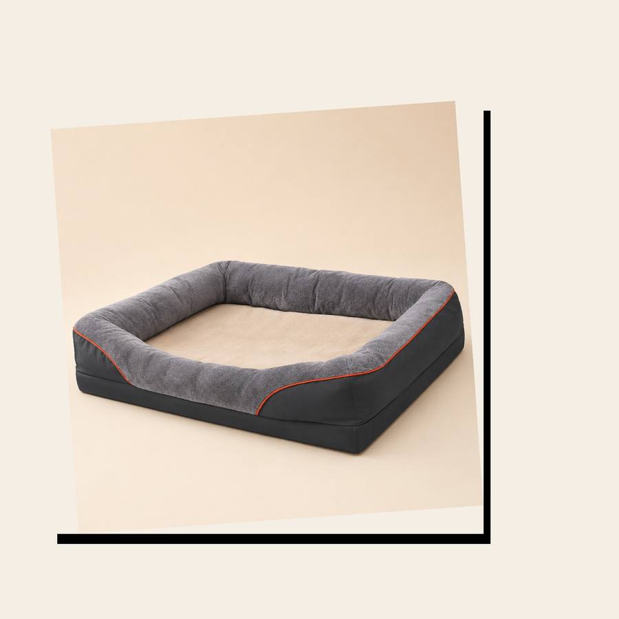 PawStars V31 | l | vue studio 3