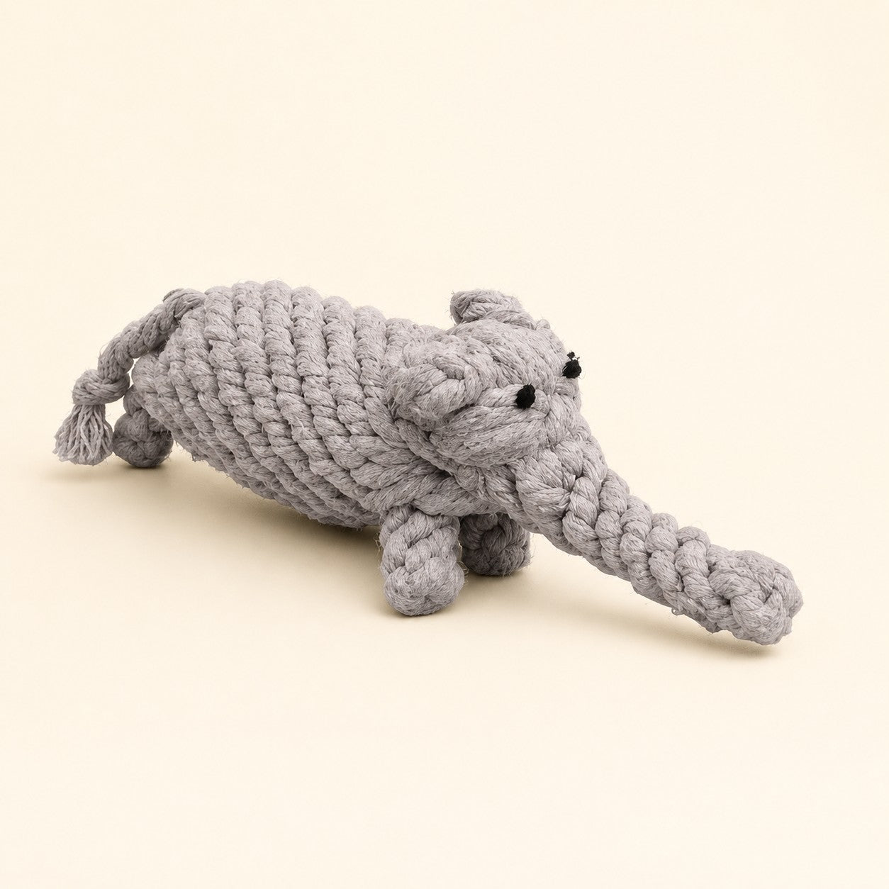 Jouet en corde Petit Compagnon — photographie studio PawStars