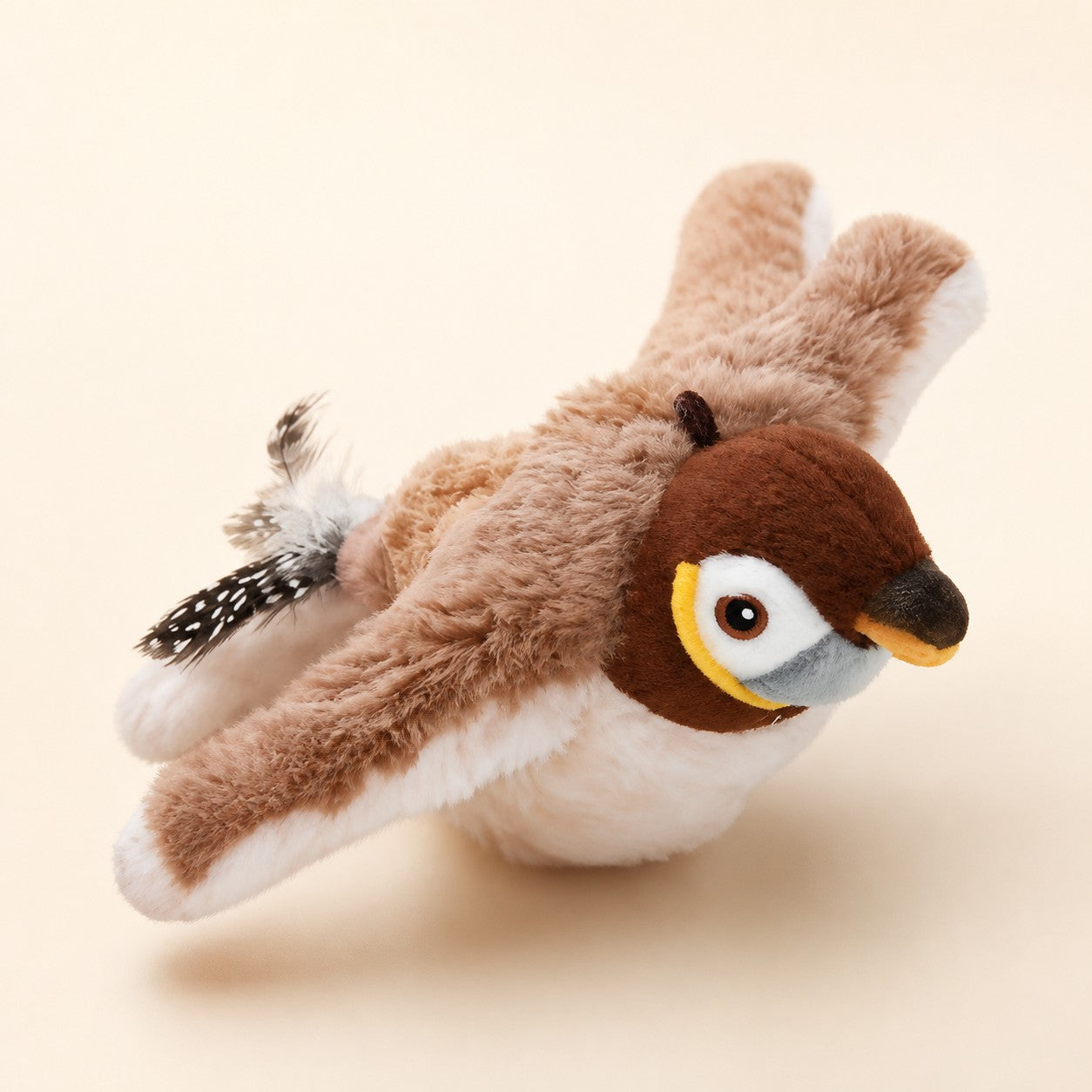 Oiseau interactif Plume — photographie studio PawStars